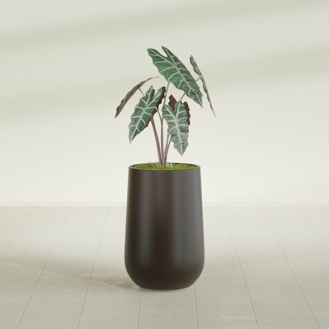 Tall Hayden Medium Round Fiberglass Planter - 12 in x 12 in x 20 in - Matte Brown - Matte Brown,12 in x 12 in x 20 in