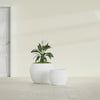 Fishbowl Small Round Fiberglass Planter - 16 in x 16 in x 14 in - Matte White - Matte White,16 in x 16 in x 14 in