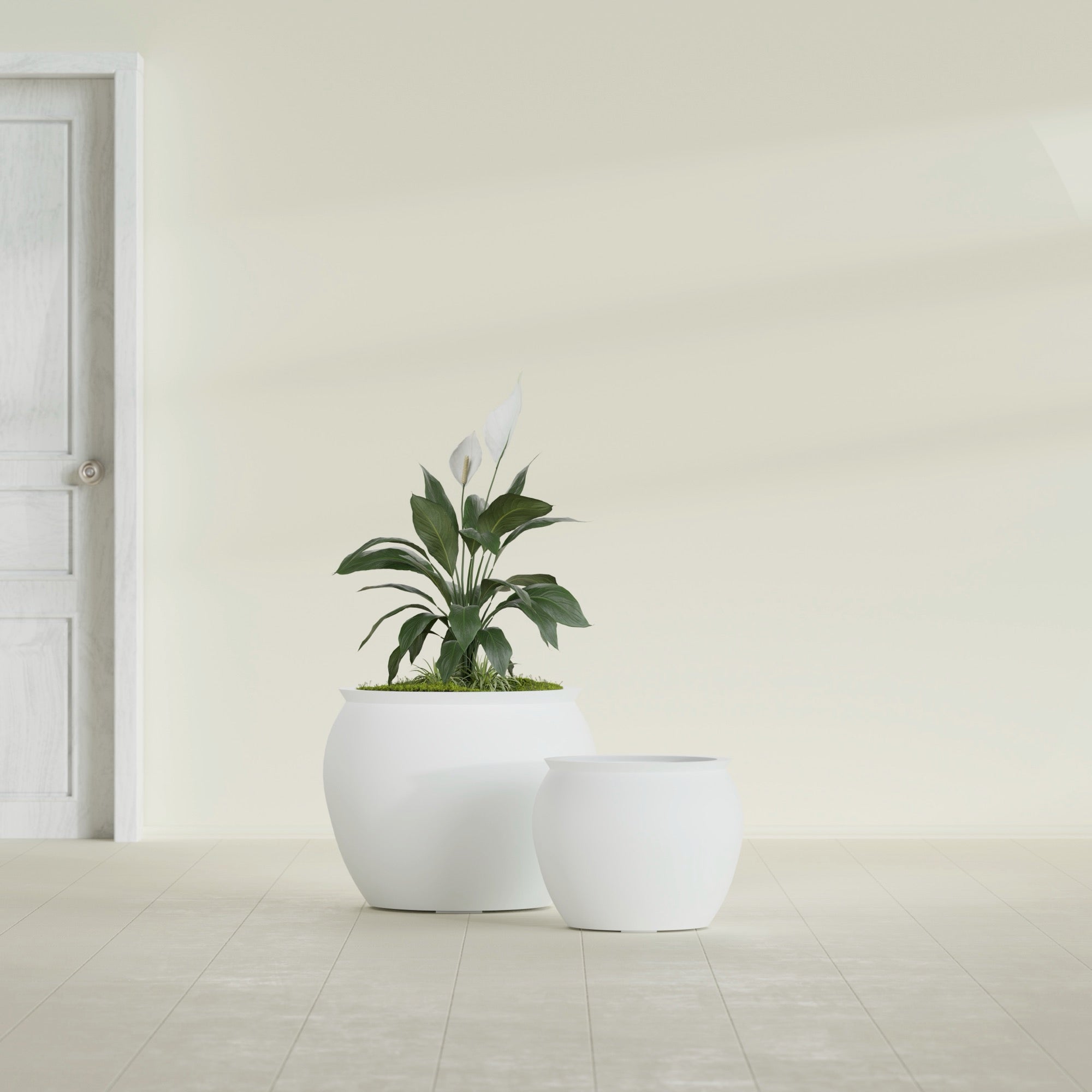 Fishbowl Small Round Fiberglass Planter - 16 in x 16 in x 14 in - Matte White - Matte White,16 in x 16 in x 14 in