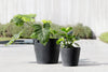 Amsterdam Small Round Planter - 8 in x 8 in x 7 in - Dark Grey - Dark Grey,8 in x 8 in x 7 in,Planter Only