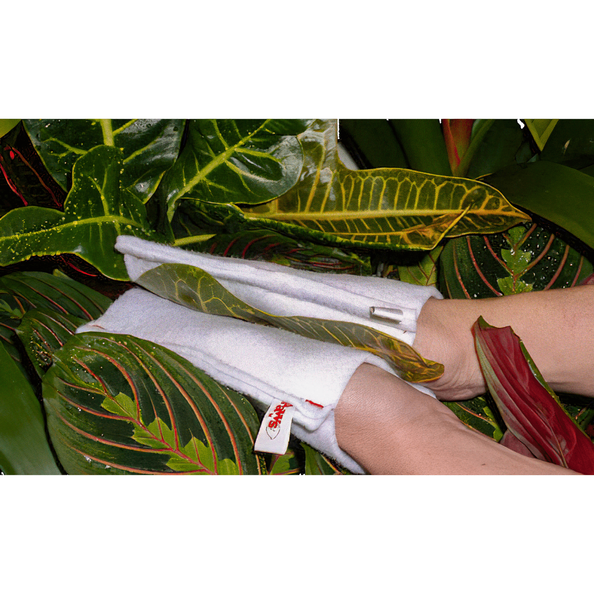 Plant Paws - Plant Cleaning Mittens - Mega Paw - Mega