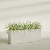 Hollywood Extra Large Narrow Rectangle Fiberglass Planter - 60 in x 12 in x 24 in - Satin Beige - Satin Beige,60 in x 12 in x 24 in