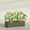 Reade Small Tabletop Rectangle Fiberglass Planter - 18 in x 6.5 in x 5 in - Matte Bronze - Matte Bronze,18.5 in x 6.5 in x 5 in
