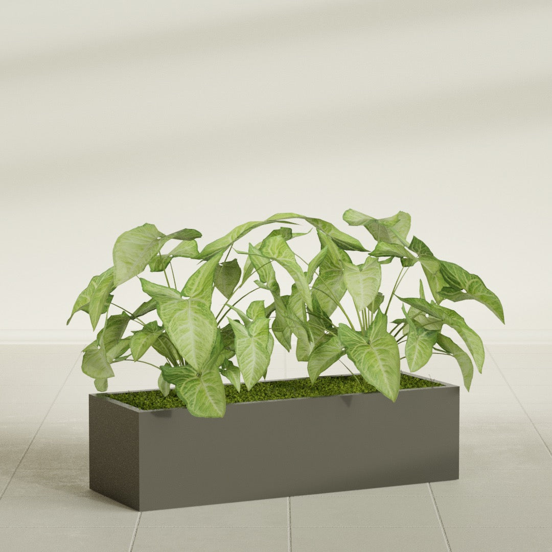 Reade Small Tabletop Rectangle Fiberglass Planter - 18 in x 6.5 in x 5 in - Matte Bronze - Matte Bronze,18.5 in x 6.5 in x 5 in