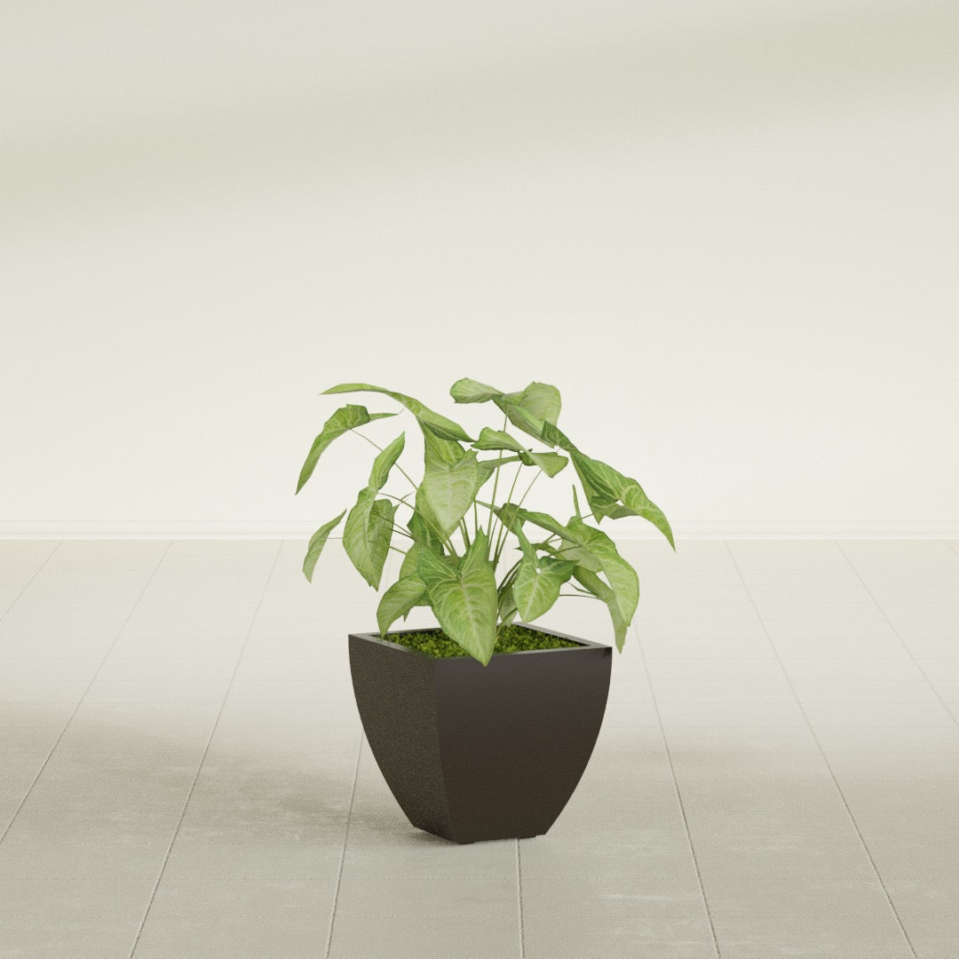 Lima Small Tapered Square Fiberglass Planter - 12 in x 12 in x 12 in - Matte Brown - Matte Brown,12 in x 12 in x 12 in