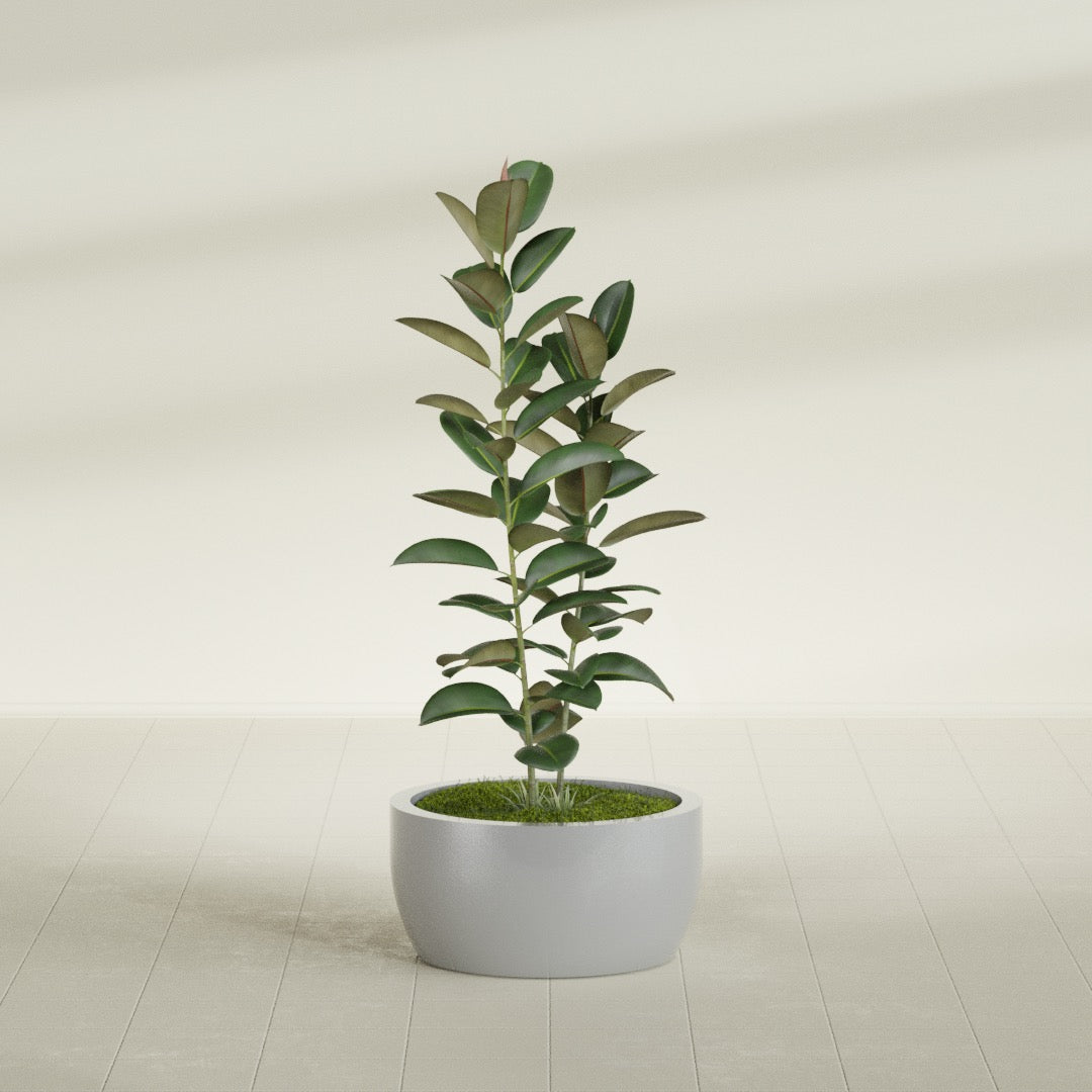 Casablanca Medium Round Low Bowl Fiberglass Planter - 24 in x 24 in x 12 in - Metallic Silver - Metallic Silver,24 in x 24 in x 12 in