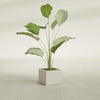 Cuba Small Fiberglass Column Planter - 14 in x 14 in x 12 in - Satin Beige - Satin Beige,14 in x 14 in x 12 in