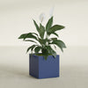 Montroy Medium Cube Square Fiberglass Planter - 20 in x 20 in x 20 in - Matte Cobalt Blue - Matte Cobalt Blue,20 in x 20 in x 20 in
