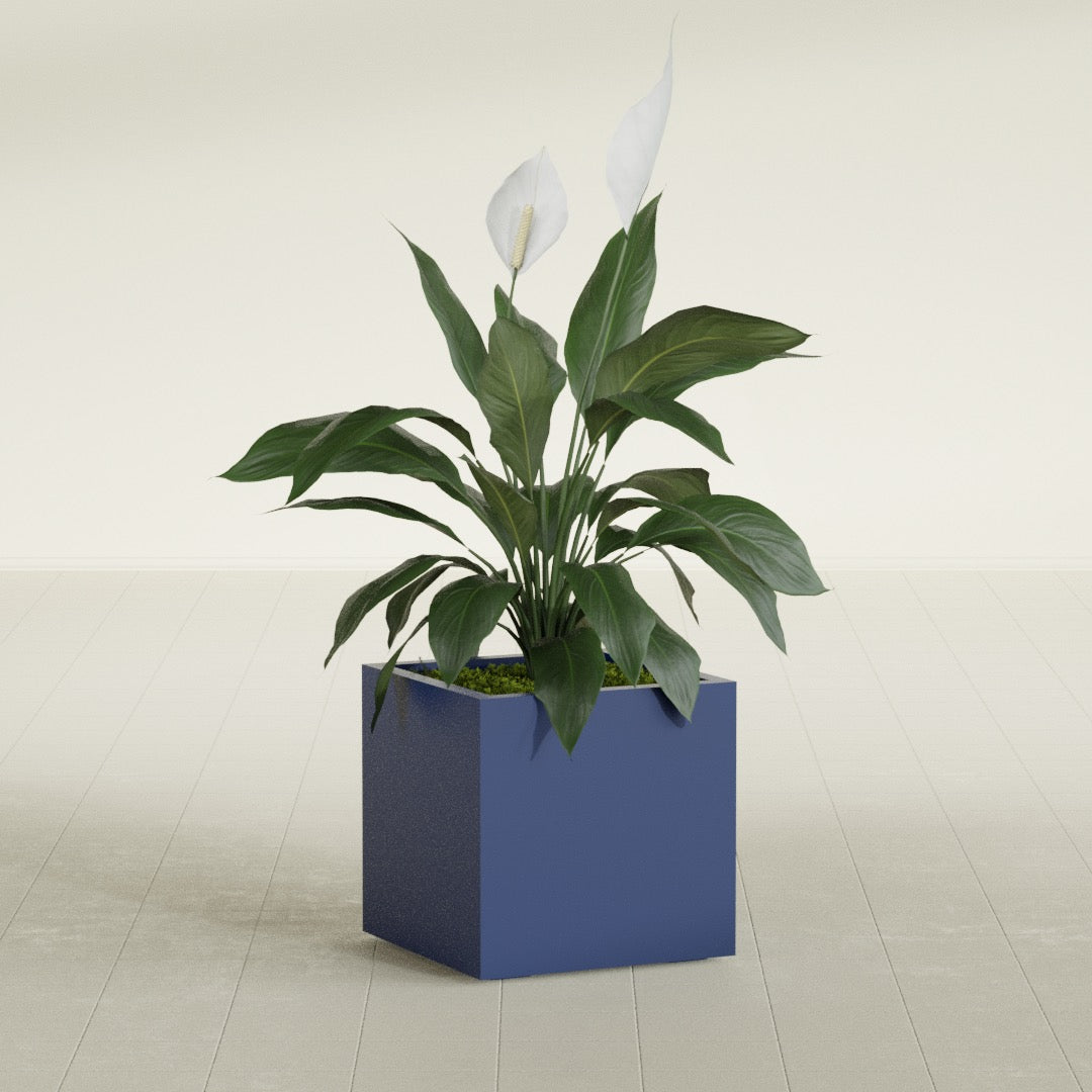 Montroy Medium Cube Square Fiberglass Planter - 20 in x 20 in x 20 in - Matte Cobalt Blue - Matte Cobalt Blue,20 in x 20 in x 20 in