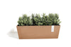 Bruges Medium Rectangle Planter - 21.75 in x 6.75 in x 6.75 in - Terracotta - Terracotta,21.75 in x 6.75 in x 6.75 in