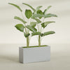 Tolga Extra Large Long Rectangle Fiberglass Planter - 48 in x 16 in x 24 in - Metallic Silver - Metallic Silver,48 in x 16 in x 24 in