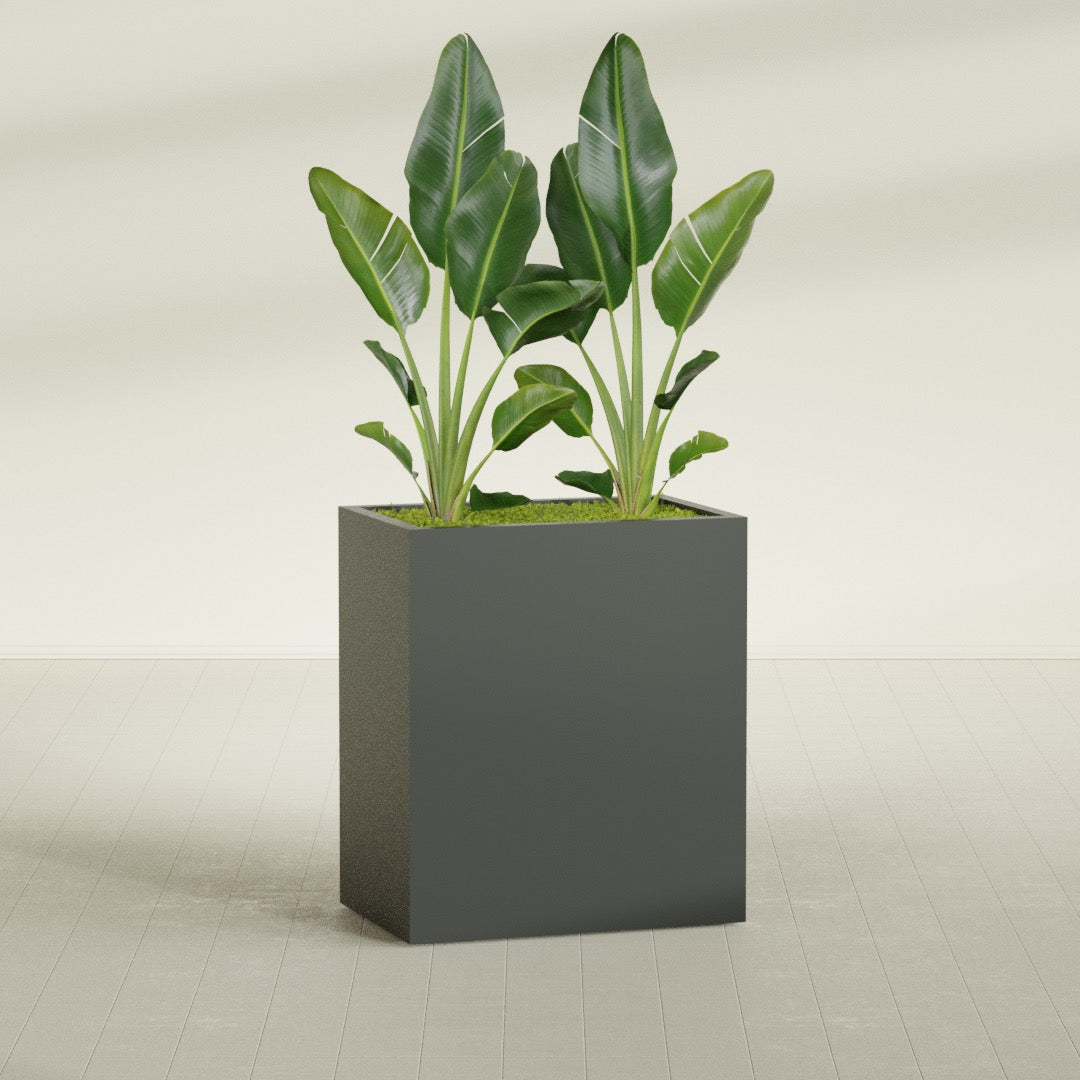 Darwin Large Rectangle Fiberglass Planter - 36 in x 24 in x 42 in - Matte Charcoal - Matte Charcoal,36 in x 24 in x 42 in