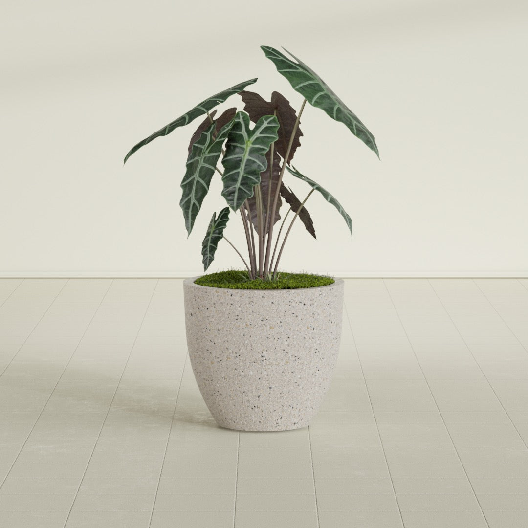 Tapered Round - 27in diam. x 24in - StoneLight - Pearlstone - StoneLight - Pearlstone,27 in x 27 in x 24 in