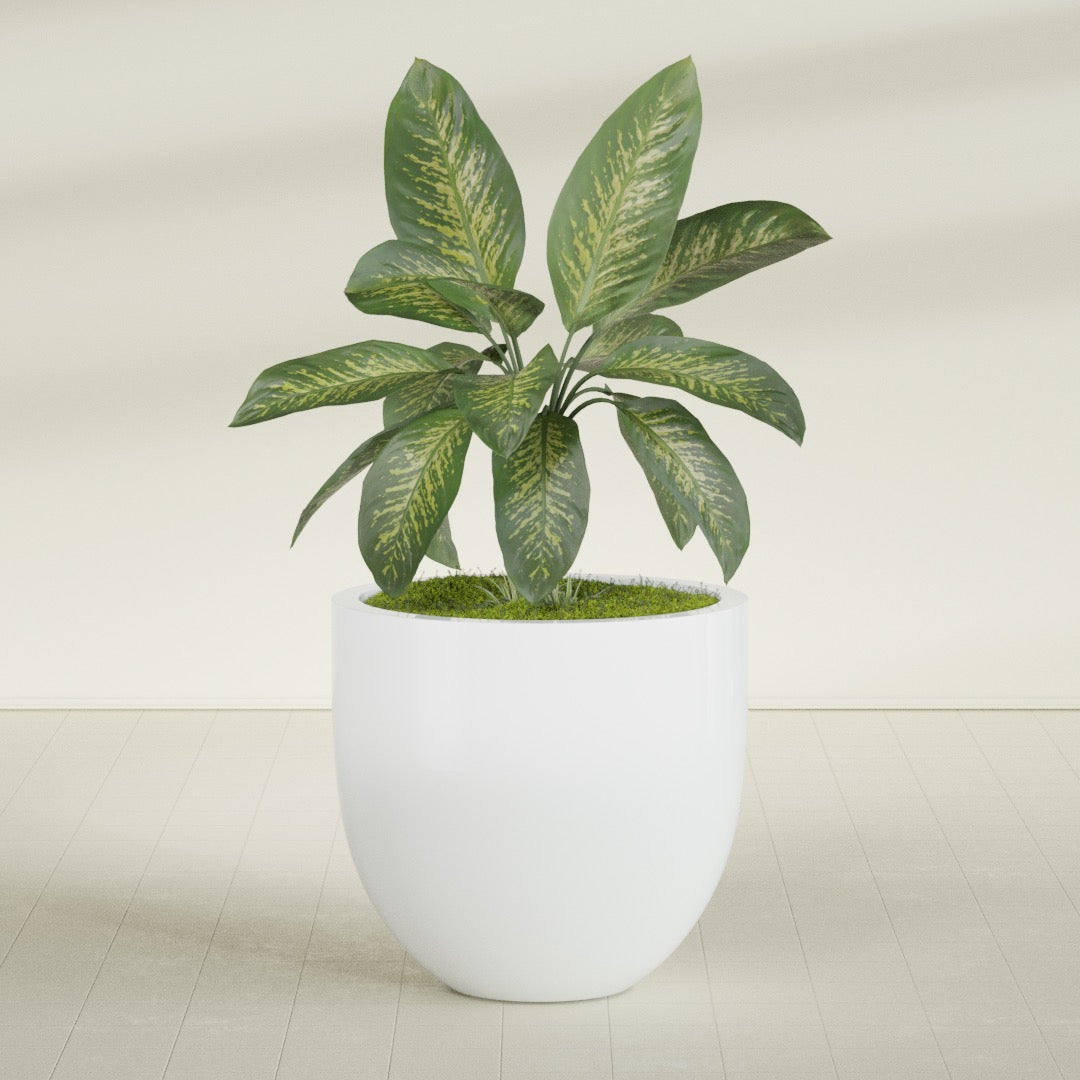 Alzira Large Round Fiberglass Planter - 36 in x 36 in x 34 in - Matte White - Matte White,36 in x 36 in x 34 in