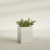 Brisbane Large Rectangle Fiberglass Planter - 24 in x 24 in x 32 in - Satin Beige - Satin Beige,24 in x 24 in x 32 in