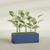 Torino Extra Large Wide Rectangle Fiberglass Planter - 48 in x 24 in x 18 in - Matte Cobalt Blue - Matte Cobalt Blue,48 in x 24 in x 18 in