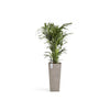 Rotterdam Medium Tall Square Planter - 12.6 in x 12.6 in x 27.5 in - Taupe - Taupe,12.5 in x 12.5 in x 27.5 in,Planter Only