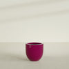 Alzira Medium Round Fiberglass Planter - 23 in x 23 in x 22 in - Gloss Eggplant - Gloss Eggplant,23 in x 23 in x 22 in