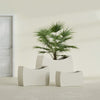Seoul Extra Large Curved Abstract Fiberglass Planter - 48 in x 20 in x 36 in - Satin Beige - Satin Beige,48 in x 20 in x 36 in