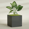 Montroy Extra Large Cube Square Fiberglass Planter - 60 in x 60 in x 60 in - Matte Charcoal - Matte Charcoal,60 in x 60 in x 60 in