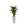 Amsterdam High Large Tall Round Planter - 19.5 in x 19.5 in x 35.5 in - White Grey - White Grey,19.5 in x 19.5 in x 35.5 in,Planter Only