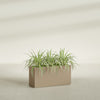 Hollywood Large Narrow Rectangle Fiberglass Planter - 36 in x 12 in x 24 in - Metallic Gold - Metallic Gold,36 in x 12 in x 24 in