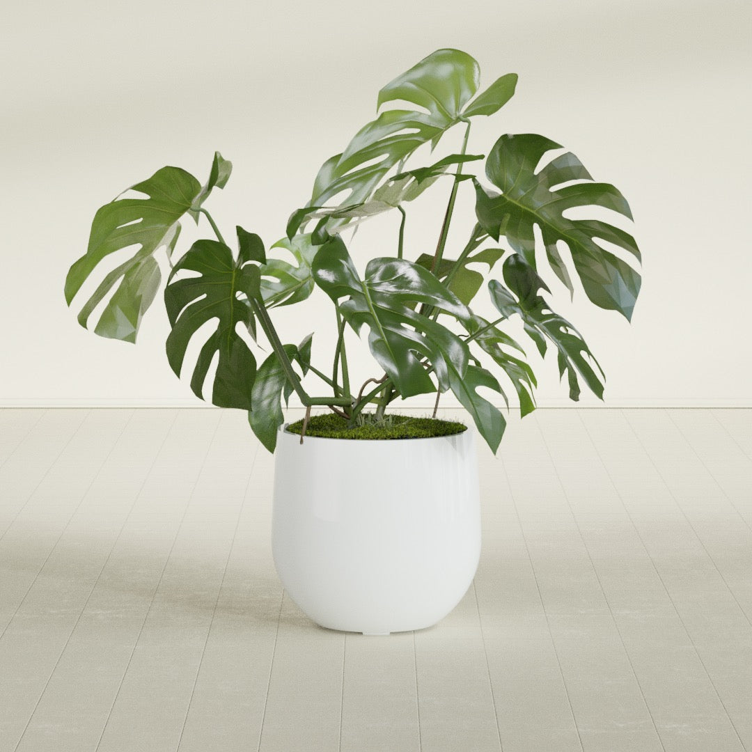 Westfield - 19in diam. x 18in - Matte White - Matte White,19 in diam. x 18 in H