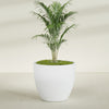 Wannsee Extra Large Round Fiberglass Planter - 50 in x 50 in x 44 in - Gloss White - Gloss White,50 in x 50 in x 44 in