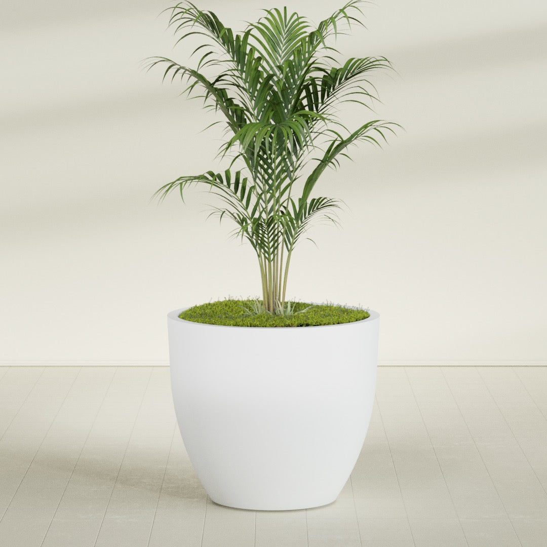 Wannsee Extra Large Round Fiberglass Planter - 50 in x 50 in x 44 in - Gloss White - Gloss White,50 in x 50 in x 44 in