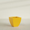 Lima Medium Tapered Square Fiberglass Planter - 24 in x 24 in x 24 in - Gloss Saffron - Gloss Saffron,24 in x 24 in x 24 in