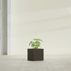 Monaco Square - 7in x 7in x 7 - Matte Brown - Matte Brown,7 in x 7 in x 7 in