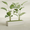 Cuba Large Long Rectangle Fiberglass Planter - 48 in x 14 in x 12 in - Satin Beige - Satin Beige,48 in x 14 in x 12 in