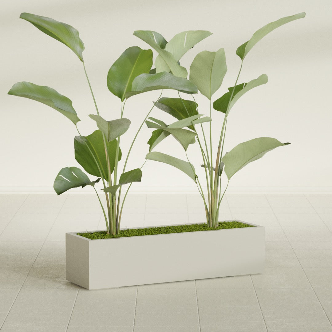 Cuba Large Long Rectangle Fiberglass Planter - 48 in x 14 in x 12 in - Satin Beige - Satin Beige,48 in x 14 in x 12 in