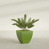 Lima Medium Tapered Square Fiberglass Planter - 20 in x 20 in x 20 in - Satin Green - Satin Green,20 in x 20 in x 20 in