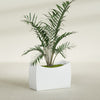 Seoul Large Curved Abstract Fiberglass Planter - 36 in x 16 in x 24 in - Matte White - Matte White,36 in x 16 in x 24 in
