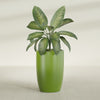 Lisbon Large Round Fiberglass Planter - 24 in x 24 in x 36 in - Satin Green - Satin Green,24 in x 24 in x 36 in