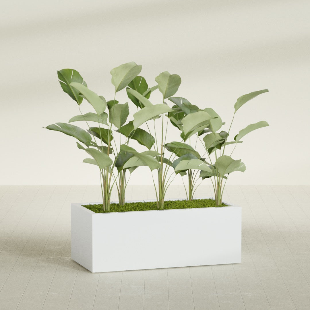 Torino Extra Large Wide Rectangle Fiberglass Planter - 48 in x 24 in x 18 in - Matte White - Matte White,48 in x 24 in x 18 in