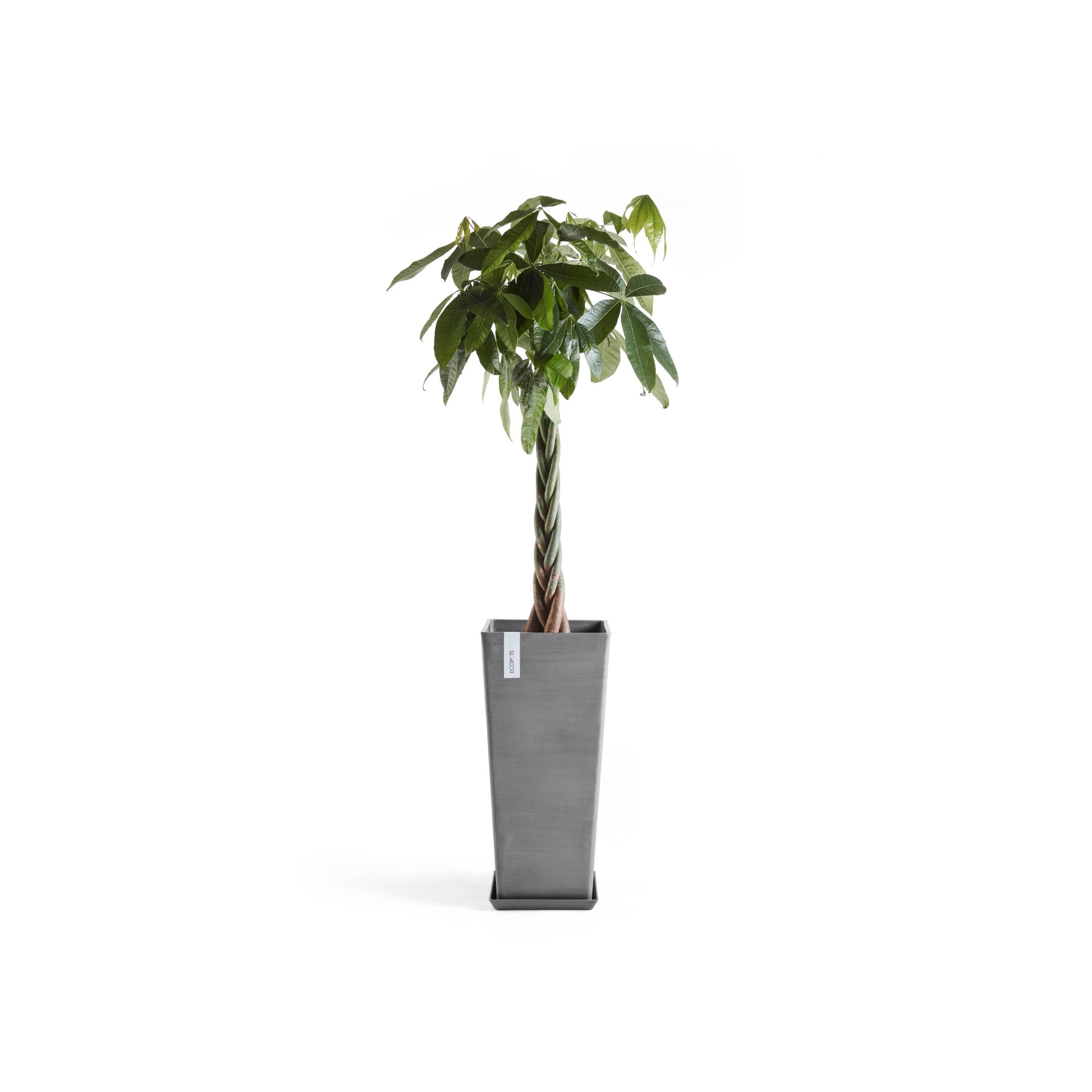 Rotterdam Medium Tall Square Planter - 12.6 in x 12.6 in x 27.5 in - Planter + Saucer - Grey - Grey,12.5 in x 12.5 in x 27.5 in,Planter + Saucer