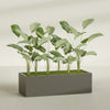 Torino Extra Large Wide Rectangle Fiberglass Planter - 60 in x 24 in x 18 in - Matte Bronze - Matte Bronze,60 in x 24 in x 18 in