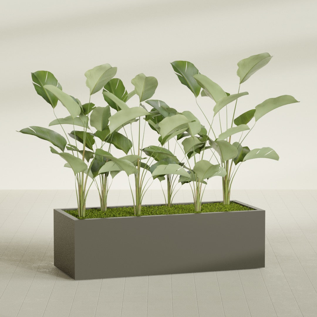 Torino Extra Large Wide Rectangle Fiberglass Planter - 60 in x 24 in x 18 in - Matte Bronze - Matte Bronze,60 in x 24 in x 18 in