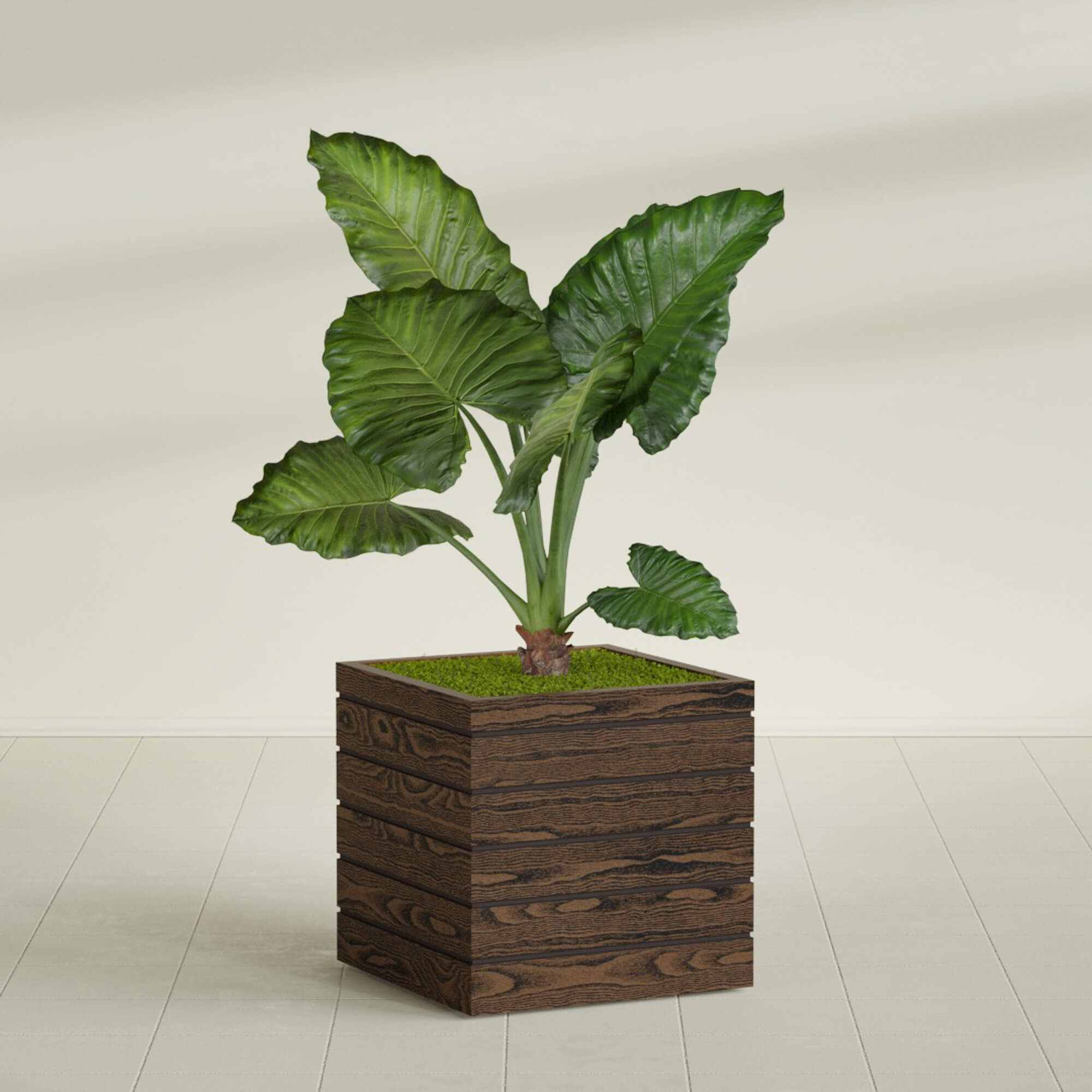 Asheville - 20in x 20in x 20in - Dark Oak - Dark Oak