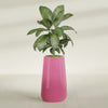 Saigon Extra Large Tapered Round Planter - 19 in x 24 in x 42 in - Gloss Pink Violet - Gloss Pink Violet,19.2 in x 24.2 in x 42 in