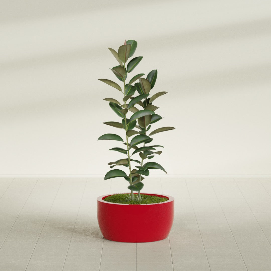 Casablanca Medium Round Low Bowl Fiberglass Planter - 24 in x 24 in x 12 in - Gloss Red - Gloss Red,24 in x 24 in x 12 in