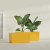 Panama Large Long Rectangle Fiberglass Planter - 36 in x 12 in x 18 in - Gloss Saffron - Gloss Saffron,36 in x 12 in x 18 in