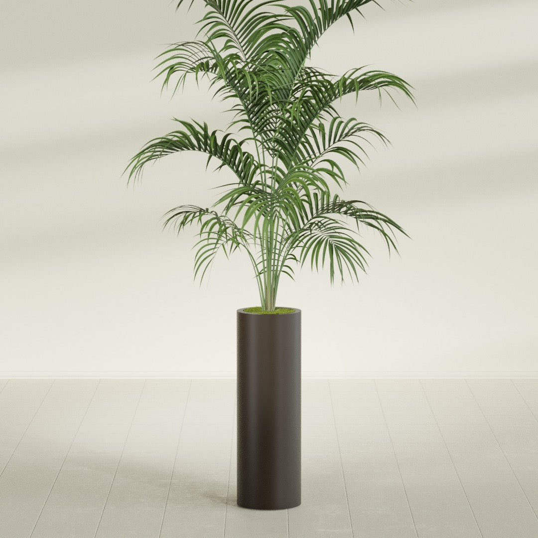 Corry Large Tall Cylinder Fiberglass Planter - 10 in x 10 in x 30 in - Matte Brown - Matte Brown,10 in x 10 in x 30 in