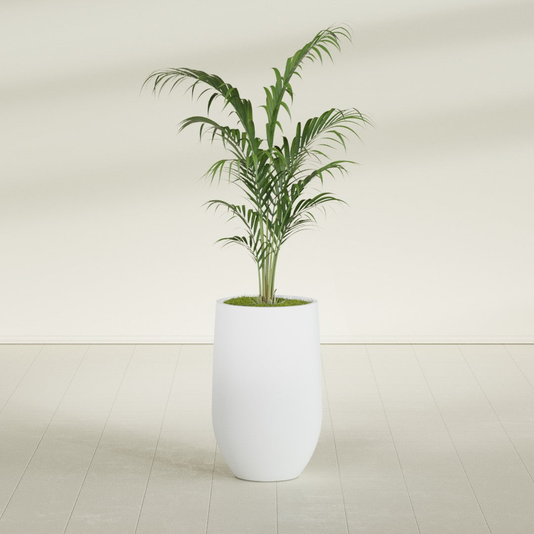 Westfield - 15in diam. x 24in - Gloss White - Gloss White,15 in diam. x 24 in H