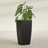 Toulan Large Tall Tapered Square Fiberglass Planter - 20 in x 20 in x 42 in - Matte Black - Matte Black,20 in x 20 in x 42 in