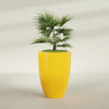 Brannan Large Round Fiberglass Planter - 30 in x 30 in x 41 in - Gloss Saffron - Gloss Saffron,30 in x 30 in x 41 in