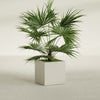 Montroy Medium Cube Square Fiberglass Planter - 24 in x 24 in x 24 in - Satin Beige - Satin Beige,24 in x 24 in x 24 in