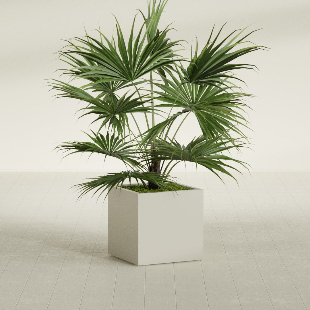 Montroy Medium Cube Square Fiberglass Planter - 24 in x 24 in x 24 in - Satin Beige - Satin Beige,24 in x 24 in x 24 in